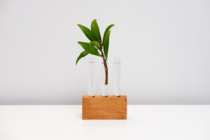Cedar Test Tube Vase
