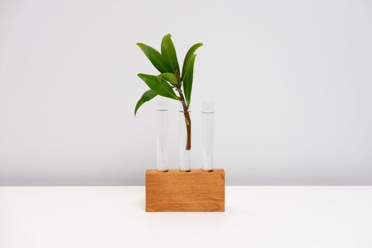 Rimu Test Tube Propagator Vase