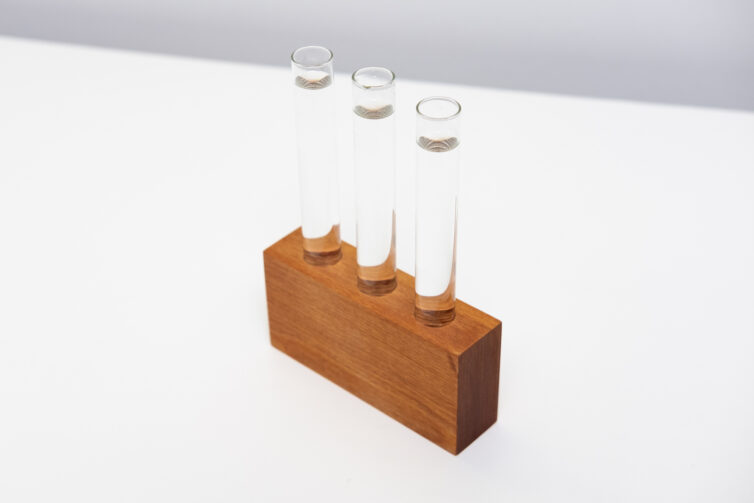 Rimu Test Tube Propagator Vase