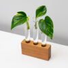 Rimu Test Tube Propagator Vase