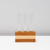 Test Tube Propagator Vase