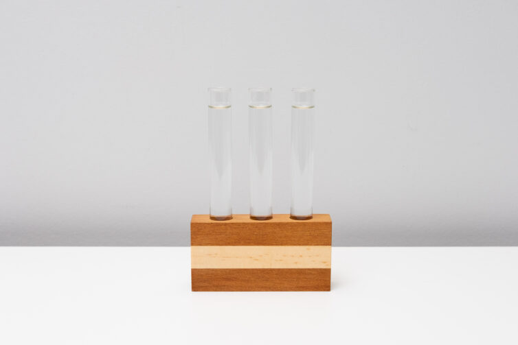 Test Tube Propagator Vase