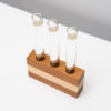 Test Tube Propagator Vase
