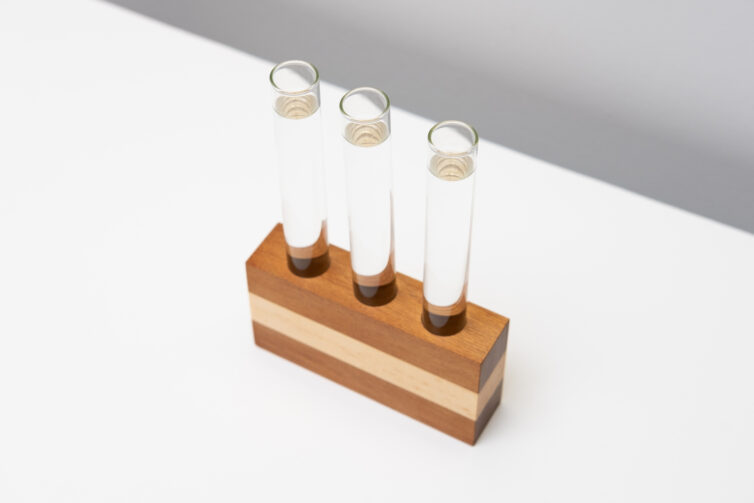 Test Tube Propagator Vase