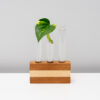 Test Tube Propagator Vase