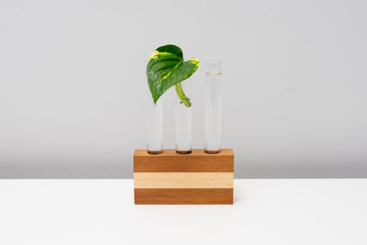 Test Tube Propagator Vase